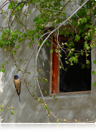 Enlaces de inter�s Enlaces de inter�s