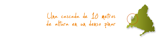 Una cascada de 10 metros de altura en un denso pinar Una cascada de 10 metros de altura en un denso pinar