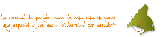 La variedad de paisajes hace de esta ruta un paseo muy especial y con mucha biodiversidad por descubrir La variedad de paisajes hace de esta ruta un paseo muy especial y con mucha biodiversidad por descubrir