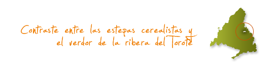 Contraste entre las estepas cerealistas y el verdor de la ribera del Torote Contraste entre las estepas cerealistas y el verdor de la ribera del Torote